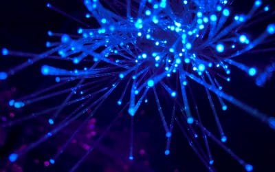 LA FIBRE OPTIQUE : NOUVEAU STANDARD DE L’ACCES INTERNET