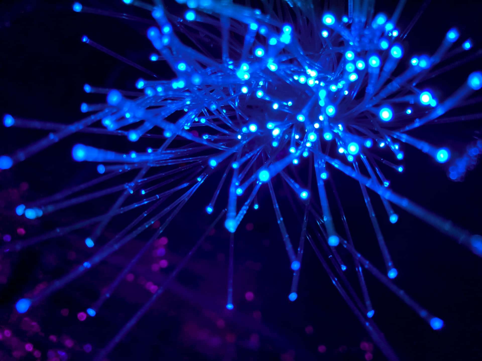 La fibre optique standard accès internet